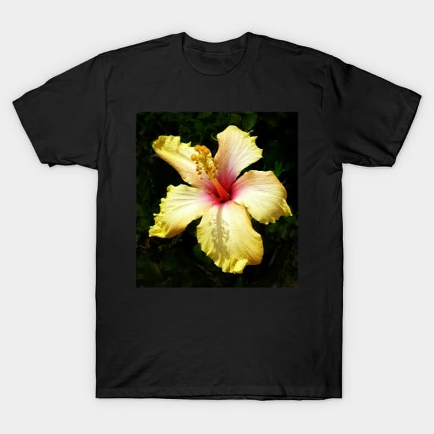 Hibiscus T-Shirt by rozmcq